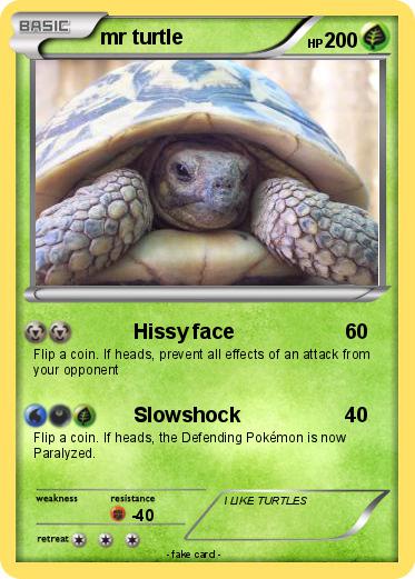 Pokemon mr turtle