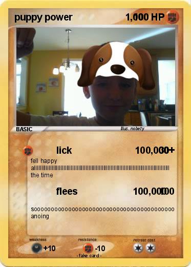 Pokemon puppy power                    1,000