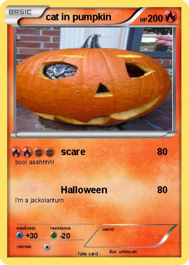 Pokemon cat in pumpkin