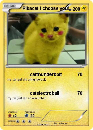 Pokemon Pikacat I choose you!