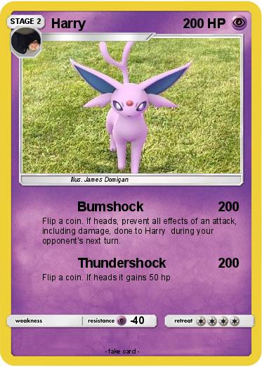 Pokemon Harry