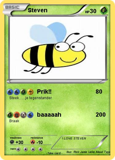 Pokemon Steven