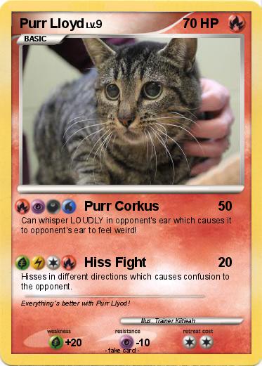 Pokemon Purr Lloyd