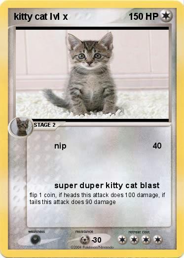Pokemon kitty cat lvl x