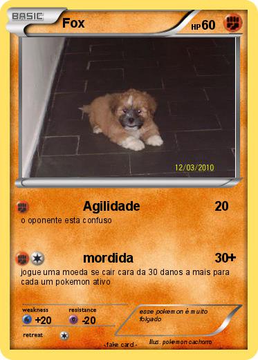 Pokemon Fox