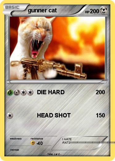 Pokemon gunner cat