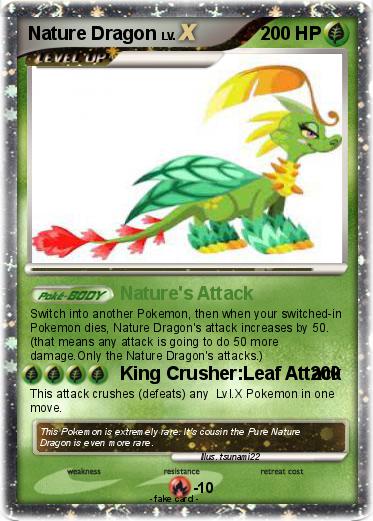 Pokemon Nature Dragon
