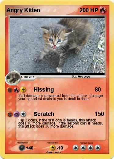 Pokemon Angry Kitten