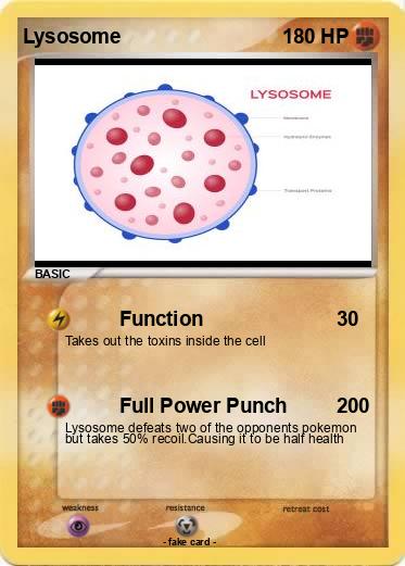 Pokemon Lysosome