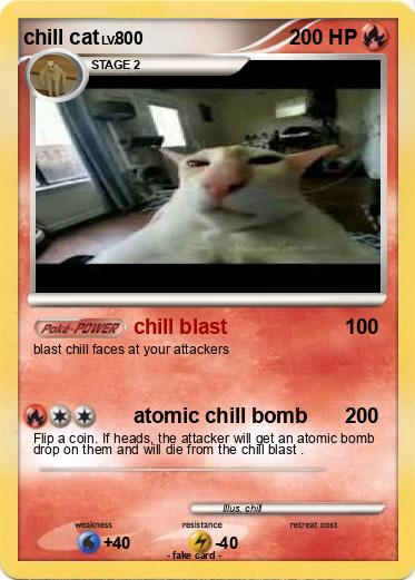 Pokemon chill cat