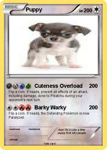 Pokemon Puppy