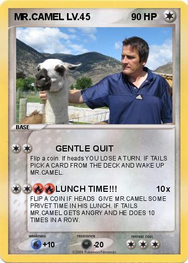 Pokemon MR.CAMEL LV.45