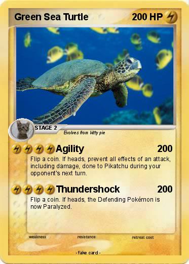 Pokemon Green Sea Turtle