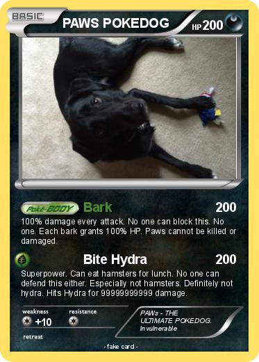 Pokemon PAWS POKEDOG