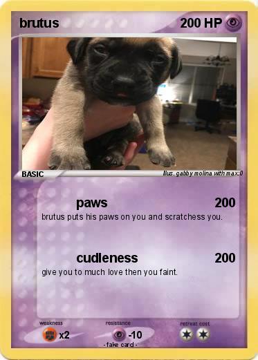 Pokemon brutus