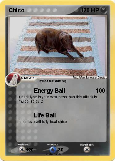 Pokemon Chico