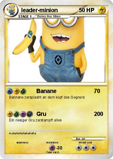Pokemon leader-minion