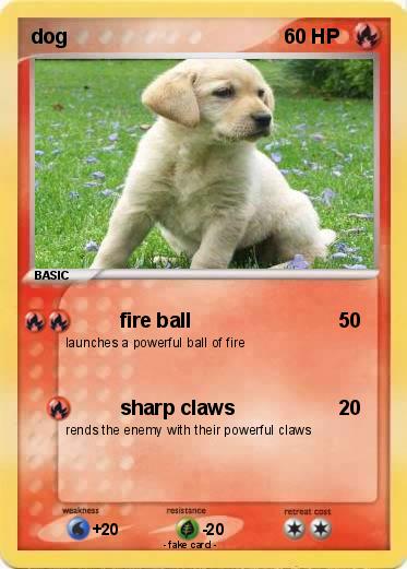 Pokemon dog