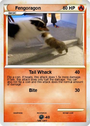 Pokemon Fengoragon