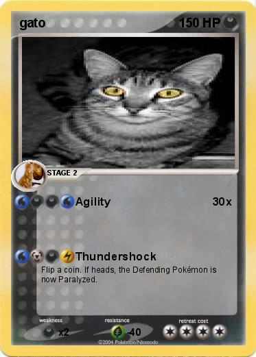 Pokemon gato
