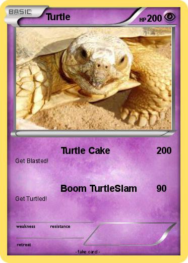 Pokemon Turtle