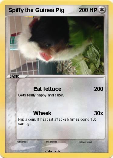 Pokemon Spiffy the Guinea Pig