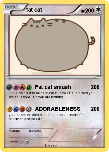 Pokemon fat cat