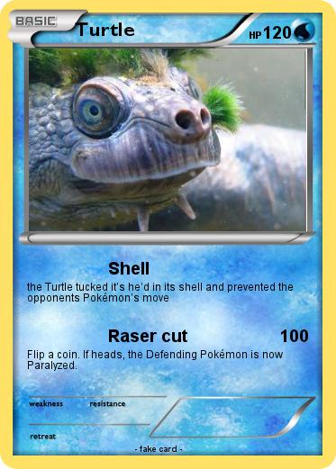 Pokemon Turtle