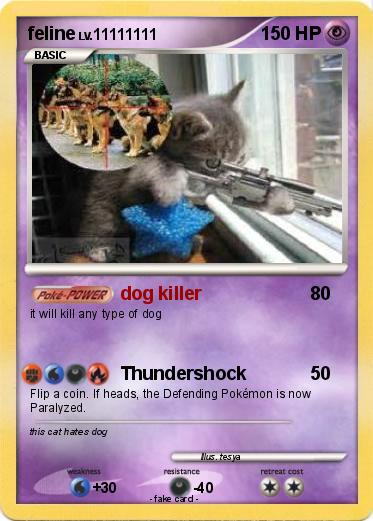 Pokemon feline
