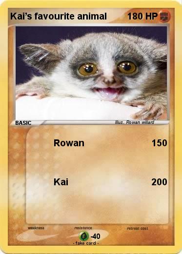 Pokemon Kai’s favourite animal