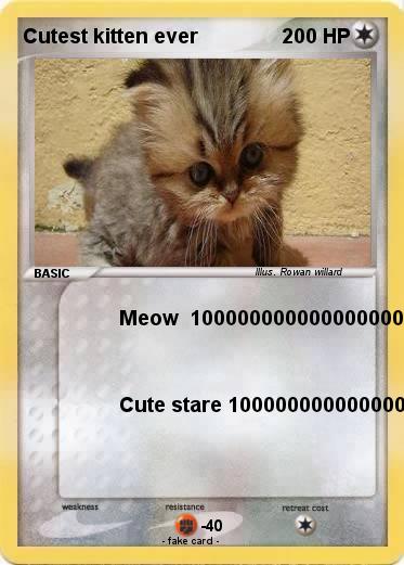 Pokemon Cutest kitten ever