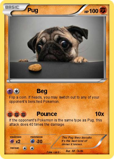 Pokemon Pug