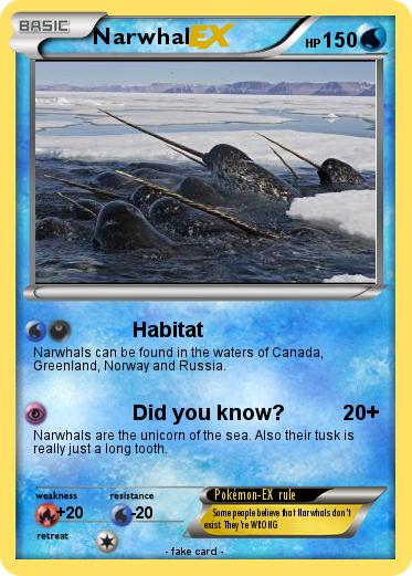 Pokemon Narwhal
