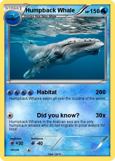Pokemon Humpback Whale