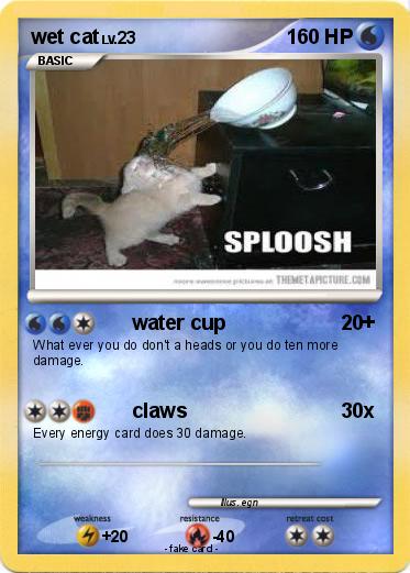 Pokemon wet cat