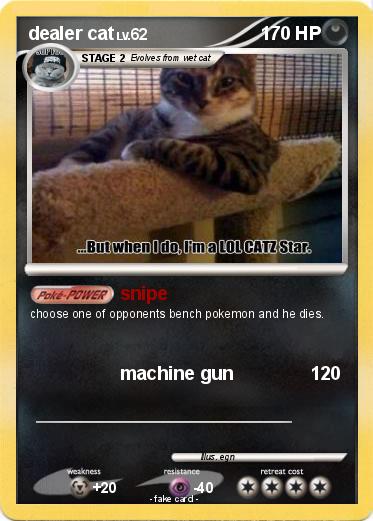 Pokemon dealer cat