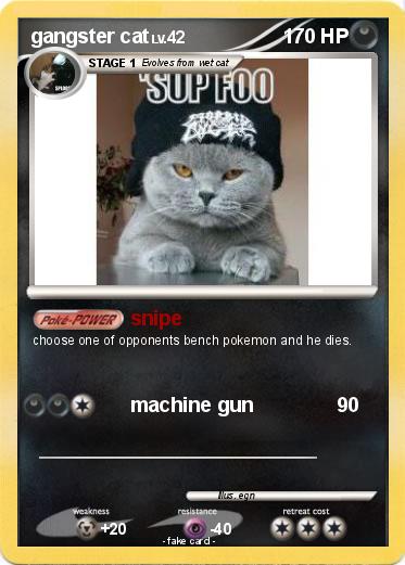 Pokemon gangster cat