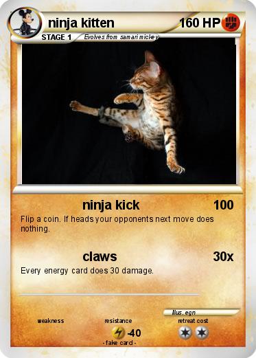 Pokemon ninja kitten