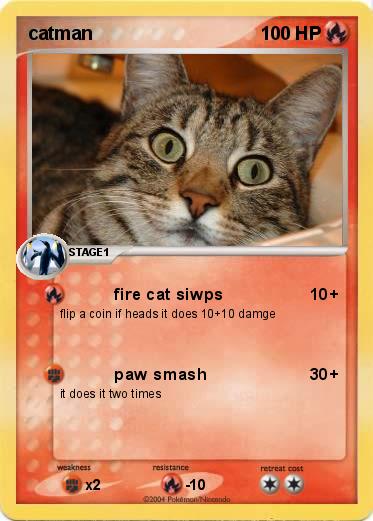 Pokemon catman