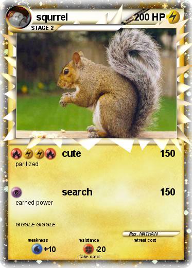 Pokemon squrrel