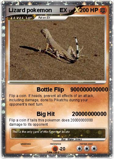 Pokemon Lizard pokemon     EX