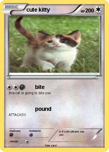 Pokemon cute kitty