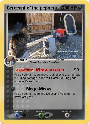 Pokemon Sergeant of the peppers