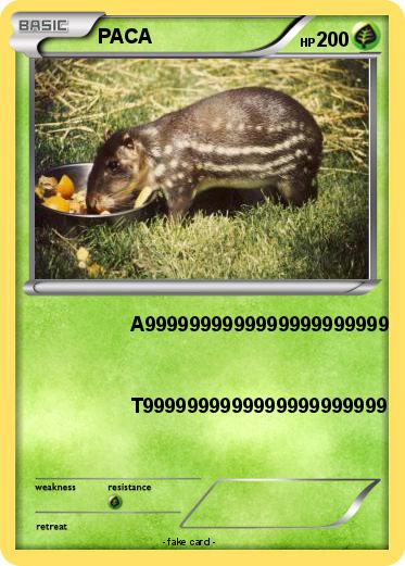 Pokemon PACA