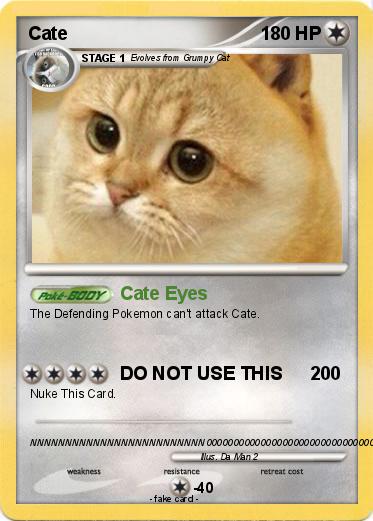 Pokemon Cate
