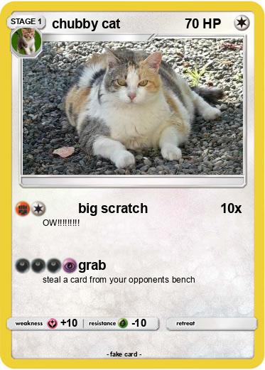Pokemon chubby cat