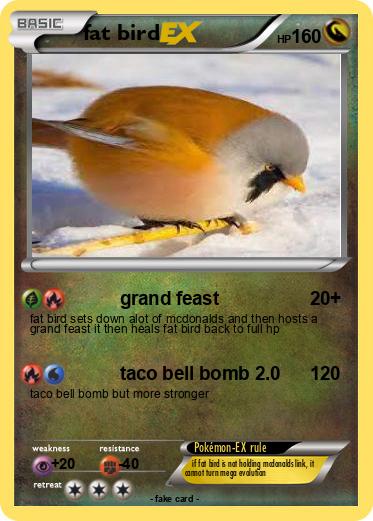 Pokemon fat bird