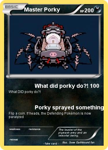 Pokemon Master Porky
