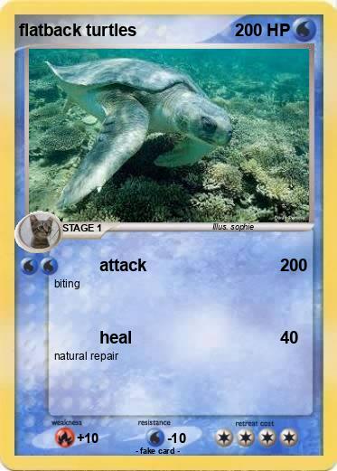 Pokemon flatback turtles