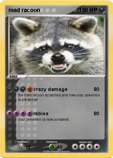 Pokemon mad racoon